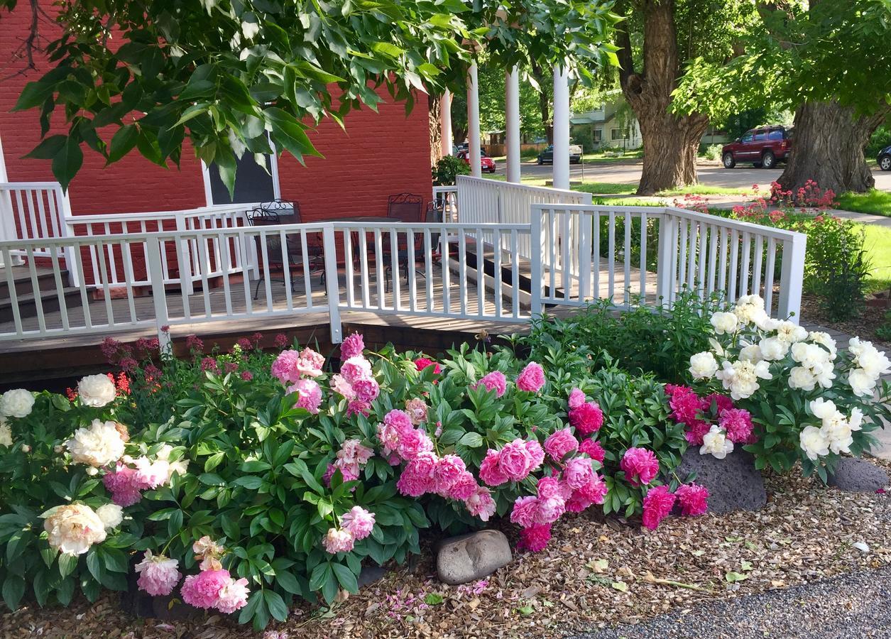 Bross Hotel B & B Paonia Extérieur photo